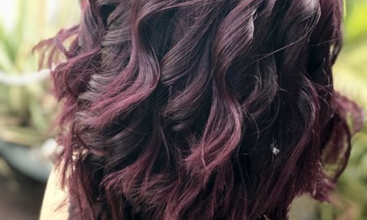 Végétalement Provence - Claire et Séverine Saint-Denis - Salon de coiffure avec produits végétaux